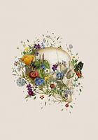 Crâne floral