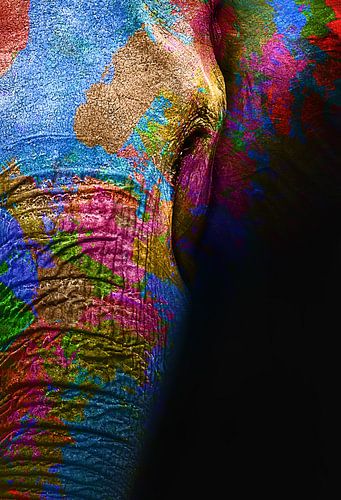 Colourful elephant