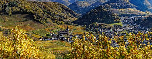 Panorama de Mayschoss sur Stefan Havadi-Nagy