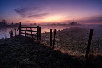 Mistige Molen Leiden