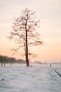 Winter zonsondergang op de Utrechtse Heuvelrug III van Guy de Nooij thumbnail