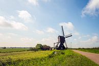Scheiwijk Mühle in einer niederländischen Landschaft von Ruud Morijn Miniaturansicht