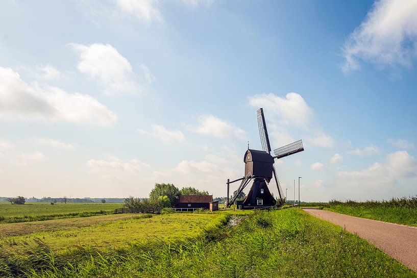 Scheiwijk Mühle in einer niederländischen Landschaft von Ruud Morijn