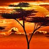 Afrika - Sonnenuntergang in der Savanne von Max Steinwald