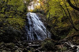 Herfstvakantie - Crabtree Falls NC van Chrystyne Novack Art and Photography