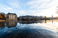 Binnenhof Den Haag von Brian Morgan Miniaturansicht