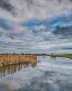 Randmeer achter de IJsselmeerdijk vlak boven Gaast van Harrie Muis thumbnail