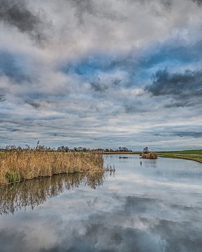 Randmeer achter de IJsselmeerdijk vlak boven Gaast
