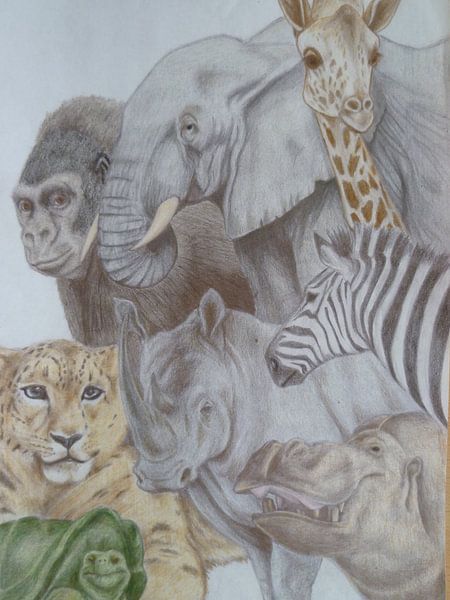 the zoo by Edith Boogaard van den 
