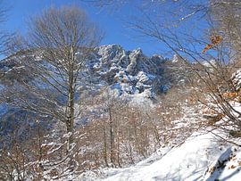 Untersberg - Der Gipfel, so nah und doch so fern von Helmut Martin