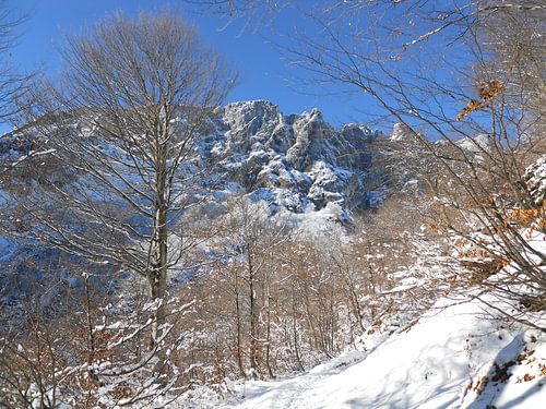 Untersberg - Der Gipfel, so nah und doch so fern