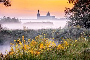 Ein früher Frühlingsmorgen von Ruud Peters