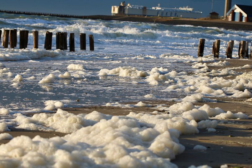 The foam of the sea by Wendy Hilberath