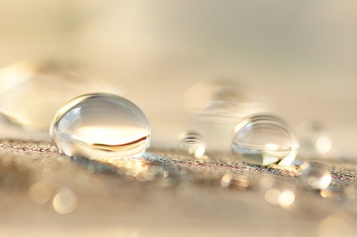 Bubble fun