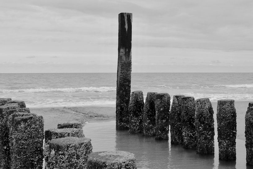 Zeeland. van Sidney Graf