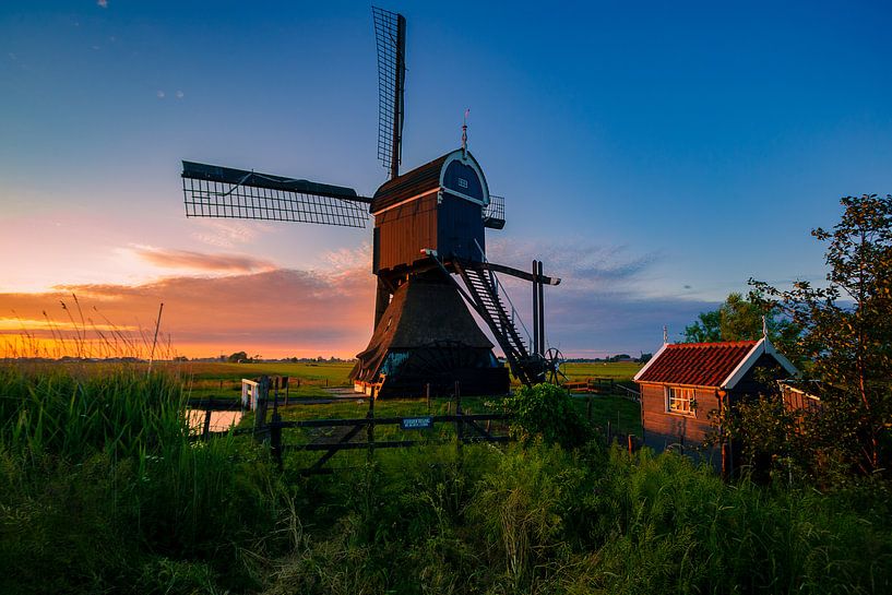 Nederlandse landschap met windmolen van Björn van den Berg