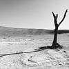 Arbre dans Deadvlei en contre-jour (1) sur Lennart Verheuvel