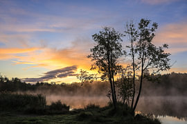 Morgennebel über den Schwackenreuter Seen kurz vor Sonnenaufgang von BlattArt - Christine Horn