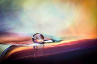 Macro d'une goutte avec un fond coloré