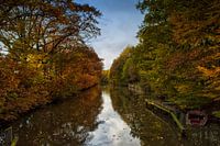 Autumn in Westerwolde