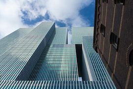 The Rotterdam by Ilya Korzelius