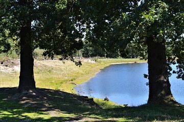 Een doorkijkje in de Natuur