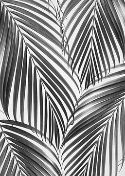 Palmbladeren - Zwart & Wit van Gal Design