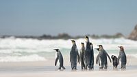 Expeditie