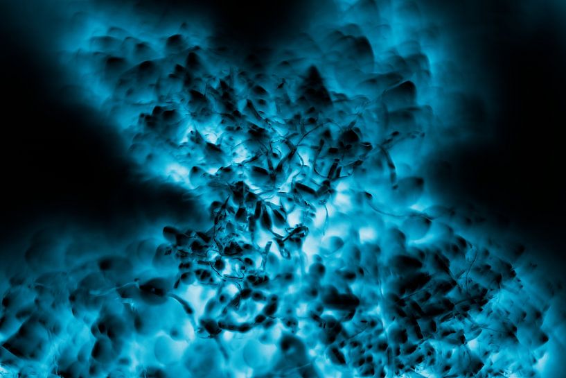 what's my name by Paquita Six