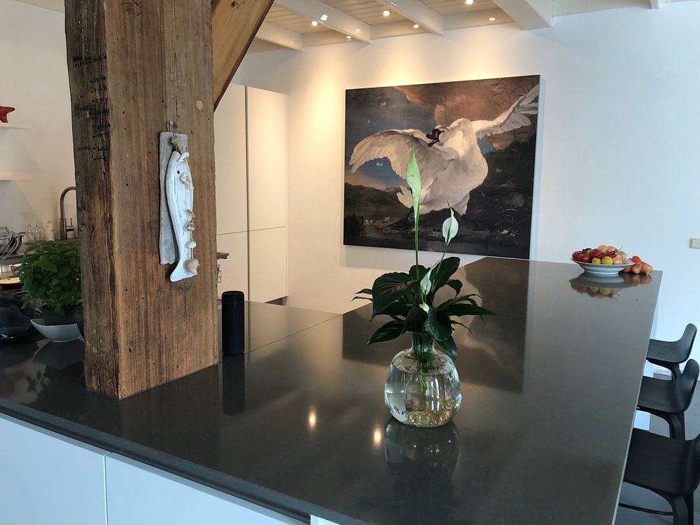 The endangered swan, Jan Asselijn 