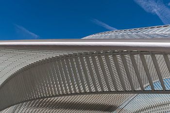 Lines in the station of LUIK