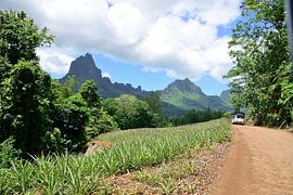 Fahren auf unbefestigten Straßen von Frank's Awesome Travels