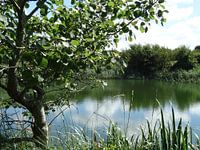 Natuur foto