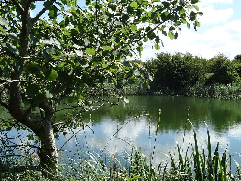 Natuur foto by Brigitte Koster