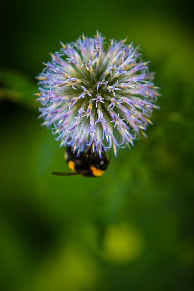 Good food by Reversepixel Photography