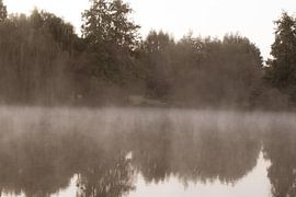 See im Nebel von Stefanie Keller