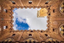 Detail of the Palazzo Pubblico town hall in Siena, Italy by Rico Ködder
