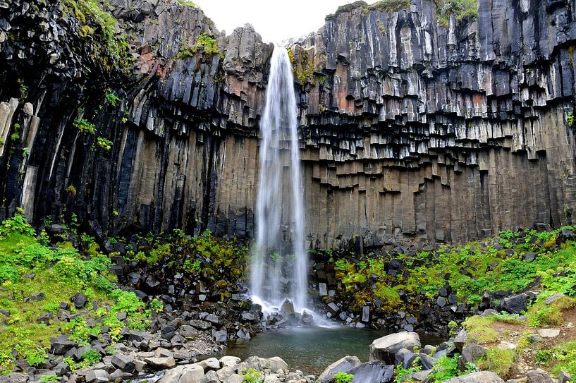 Majestueuze Svartifoss van Frank's Awesome Travels