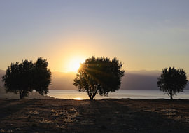 Samos, Teil 43 von Tania Perneel