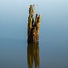 Minimalisme met een boomstronk in het water van Mark Bolijn