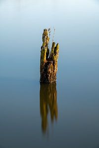 Minimalism with a tree stump in the water by Mark Bolijn