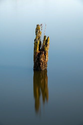 Minimalisme met een boomstronk in het water