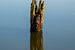 Minimalismus mit einem Baumstumpf im Wasser von Mark Bolijn
