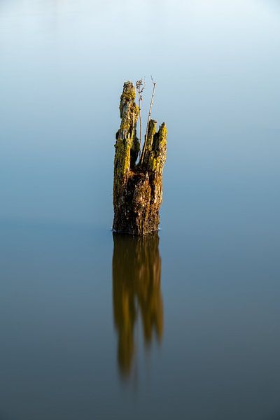 Minimalisme met een boomstronk in het water van Mark Bolijn