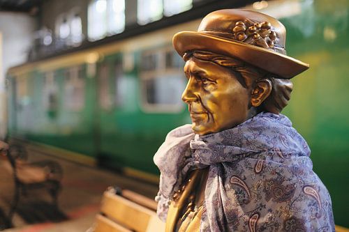 Train passenger at the station