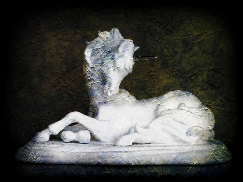 Eenhoorn  Grunge Art by Nicky`s Prints