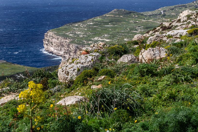 kust met rotsen en zee op Malta van Eric van Nieuwland