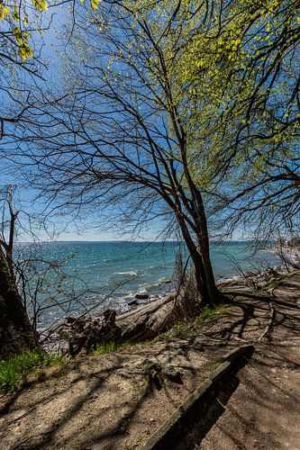 Wanderweg aus der Stubbenkammer nach Sassnitz