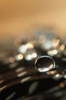 Gold Drops