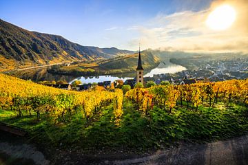 The Moselle loop, a beautiful river in Germany, makes a 180 degree loop. with vineyards and a great  von Fotos by Jan Wehnert